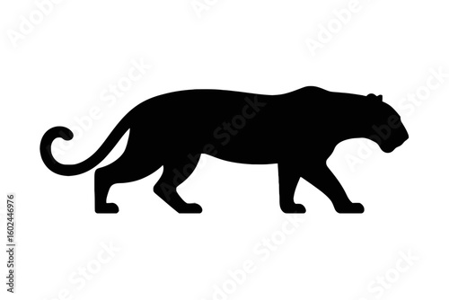 Powerful Panther Stalking big cat feline