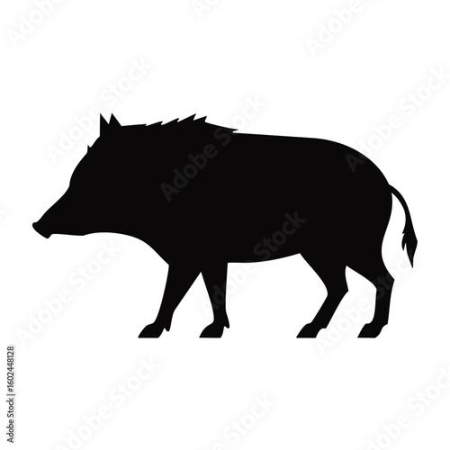 Silhouette of wild boar

