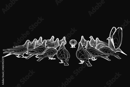 A flock of pigeons in clean contour line art stands out against a stark black background. The minimalist design highlights the birds' graceful silhouettes with sharp contrast. Simple yet striking.