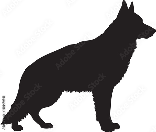 Elegant german shepherd dog standing proudly in a black silhouette