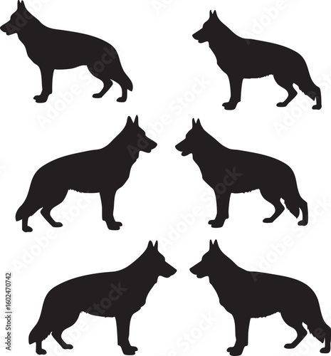 Collection of german shepherd dog poses silhouette