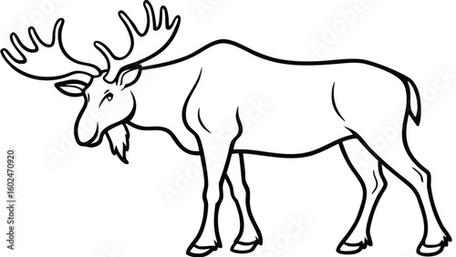 Vector Illustration of a Moose with Large Antlers in a Natural Standing Pose