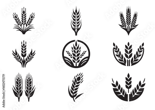 Agriculture wheat ear silhouette vector illustration Set