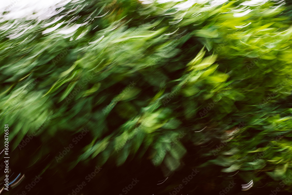 Fototapeta premium Abstract image of green leaves with intentional camera motion blur creating a dynamic artistic effect, suitable for nature-inspired backgrounds, creative designs, and modern art projects