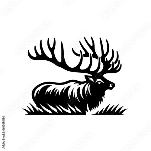 Majestic Elk Silhouette with Large Antlers in Grass.