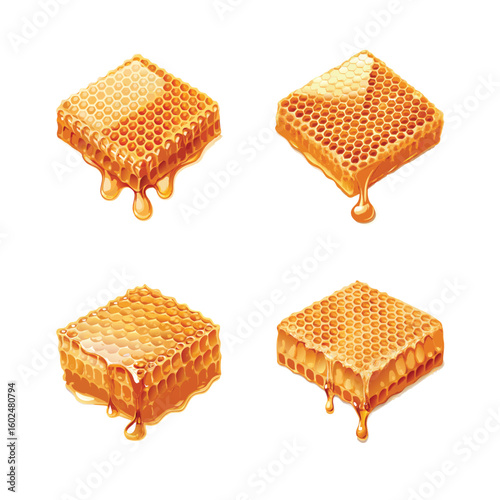 vector realistic honeycomb slice with liquid honey 