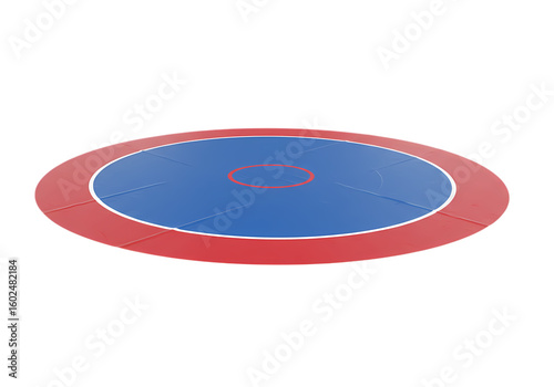 Wrestling Mat Circular Competition Surface