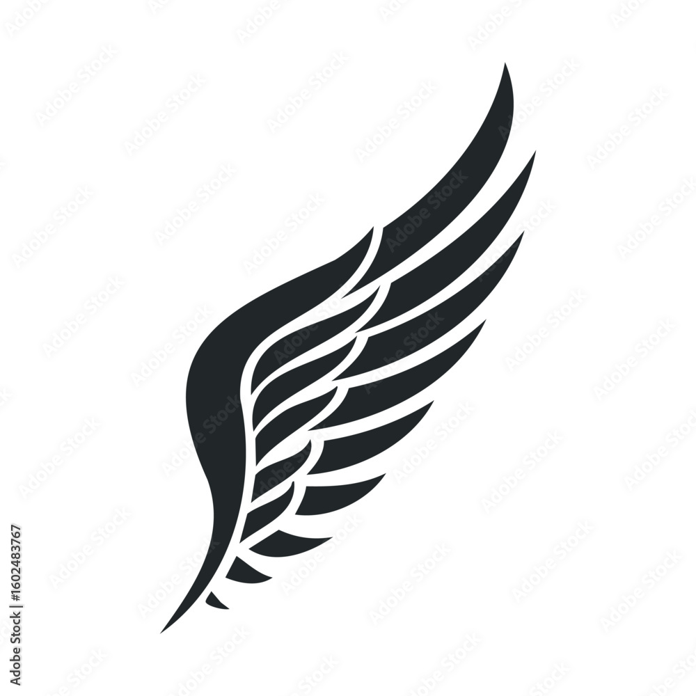 Obraz premium Elegant black wing graphic with distinct feather design