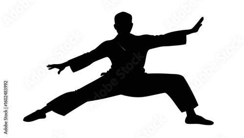 Silhouette Martial Arts Pose: A poised silhouette of an individual executing a powerful martial arts stance. Illustrating fluidity and strength in the balance.