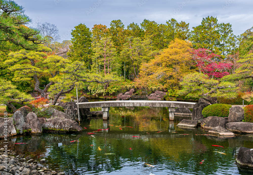 Fototapeta premium Spring at Koko-en garden, Himeji, Japan, South East Asia