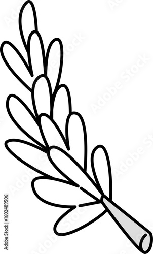 Rosemary Line