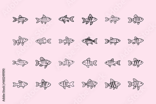 GloFish Danio, aquarium fish line art illustration