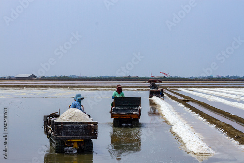 Pyramids of sea salt ready to be harvested in a salt farm at sunrise. Used as a seasoning in food, cosmetics and for food preservation.