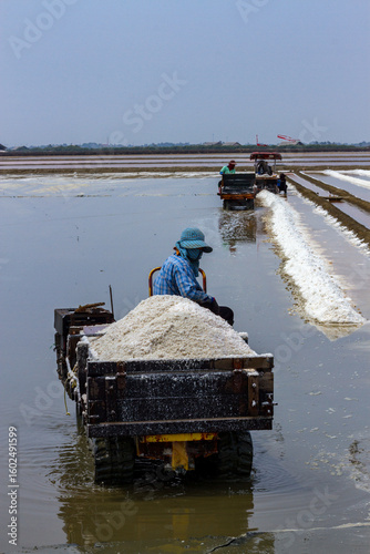 Pyramids of sea salt ready to be harvested in a salt farm at sunrise. Used as a seasoning in food, cosmetics and for food preservation.