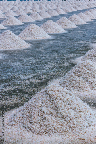 Pyramids of sea salt ready to be harvested in a salt farm at sunrise. Used as a seasoning in food, cosmetics and for food preservation.
