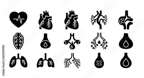 Collection of black glyph icons depicting human internal organs, including heart, lungs, and bronchi.