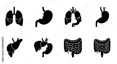 Black silhouette illustrations of human internal organs, depicting lungs, stomach, liver, and intestines.