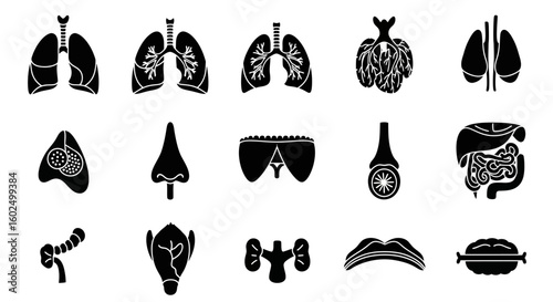 Collection of black and white human organ icons, illustrating respiratory, digestive, and other systems.