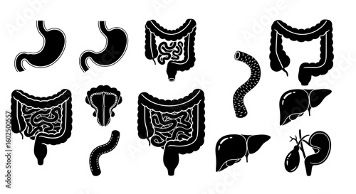 Black and white anatomical illustrations of the human digestive system, showing various organs.
