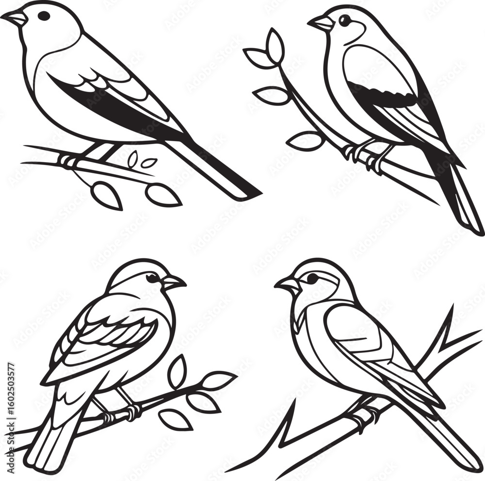 Fototapeta premium Flying Birds Silhouette Vector Set – Black and White Bird Illustration for Design and Decoration