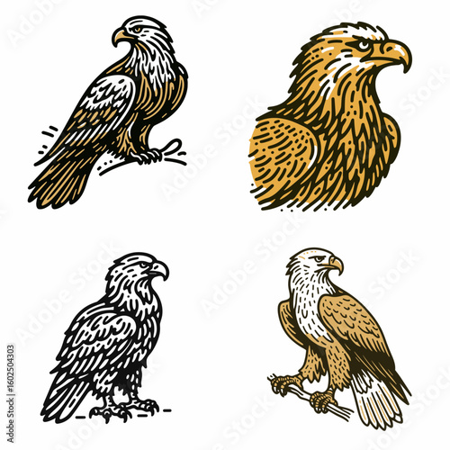 A Golden eagle. Funny Happy Retro Cartoon Clipart Silhouette Line Art Vector Illustration. big hawk with gold plumage hunting for prey watching over terrain.