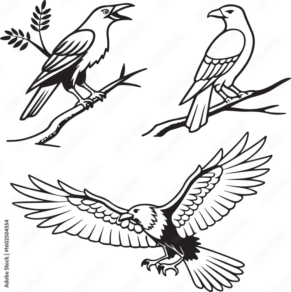 Obraz premium Flying Birds Silhouette Vector Set – Black and White Bird Illustration for Design and Decoration