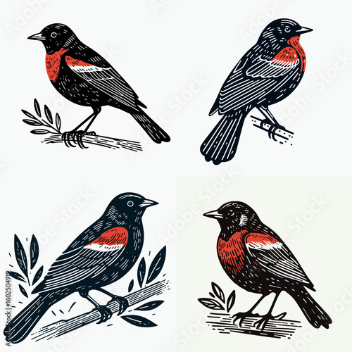 A Red winged blackbird. Funny Happy Retro Cartoon Clipart Silhouette Line Art Vector Illustration. scarlet dark bird observe common nature fauna in their habitat.