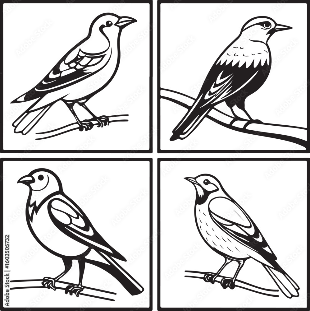 Fototapeta premium Flying Birds Silhouette Vector Set – Black and White Bird Illustration for Design and Decoration