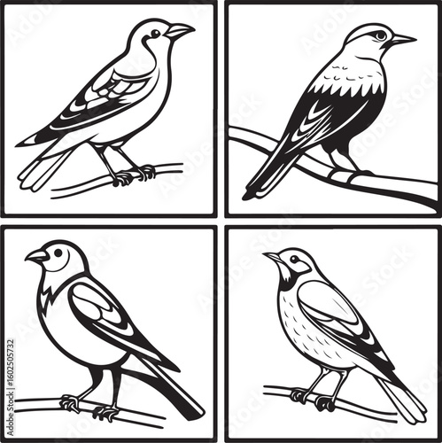 Wallpaper Mural Flying Birds Silhouette Vector Set – Black and White Bird Illustration for Design and Decoration Torontodigital.ca
