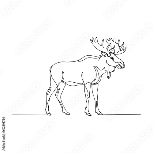 Vector line art of a moose with antlers in continuous line drawing style, wild animal sketch template