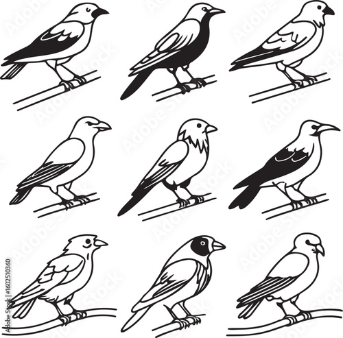 Wallpaper Mural Flying Birds Silhouette Vector Set – Black and White Bird Illustration for Design and Decoration Torontodigital.ca