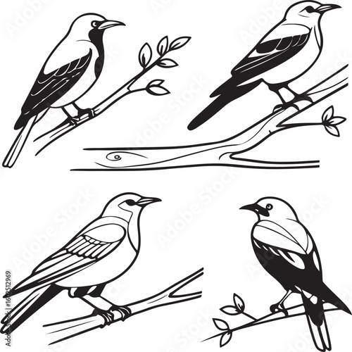 Wallpaper Mural Flying Birds Silhouette Vector Set – Black and White Bird Illustration for Design and Decoration Torontodigital.ca