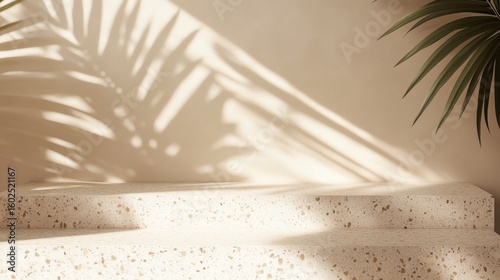 Beige Terrazzo Platform with Palm Leaves and Sunlight Shadows 