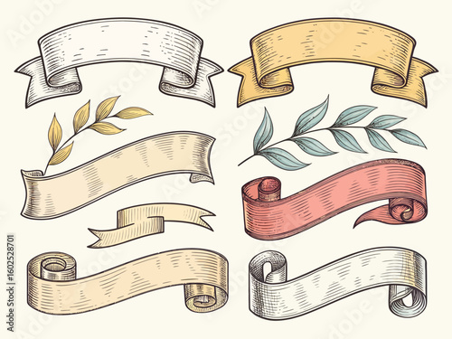 Collection of hand drawn vintage banners and ribbons with botanical elements