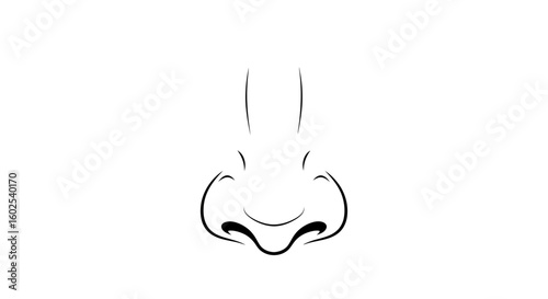Minimalist anatomical nose illustration in black and white, depicting the central facial feature with simple elegance
