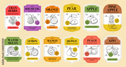 Vintage Fruit Labels in Hand-Drawn Sketch Style with Organic Stamps and Retro Frames