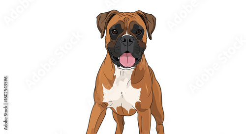 Illustration of a playful boxer dog with a focused expression set against a clear, crisp, and clean background