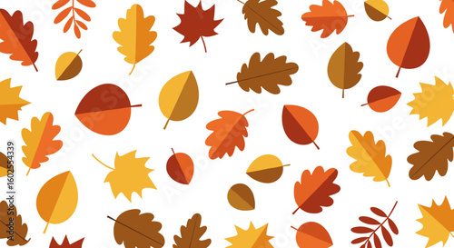 Colorful autumn leaves pattern on white background  
