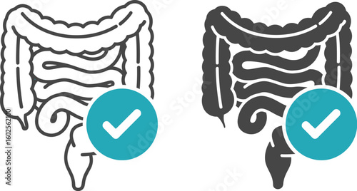 Illustration of two colons with a check mark indicating healthy digestive system