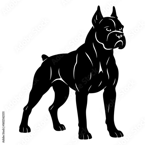 Powerful Boxer Dog Standing Vector Art - Energetic Canine