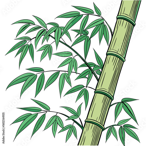 Green bamboo stalk with leaves botanical zen style nature vector illustration
