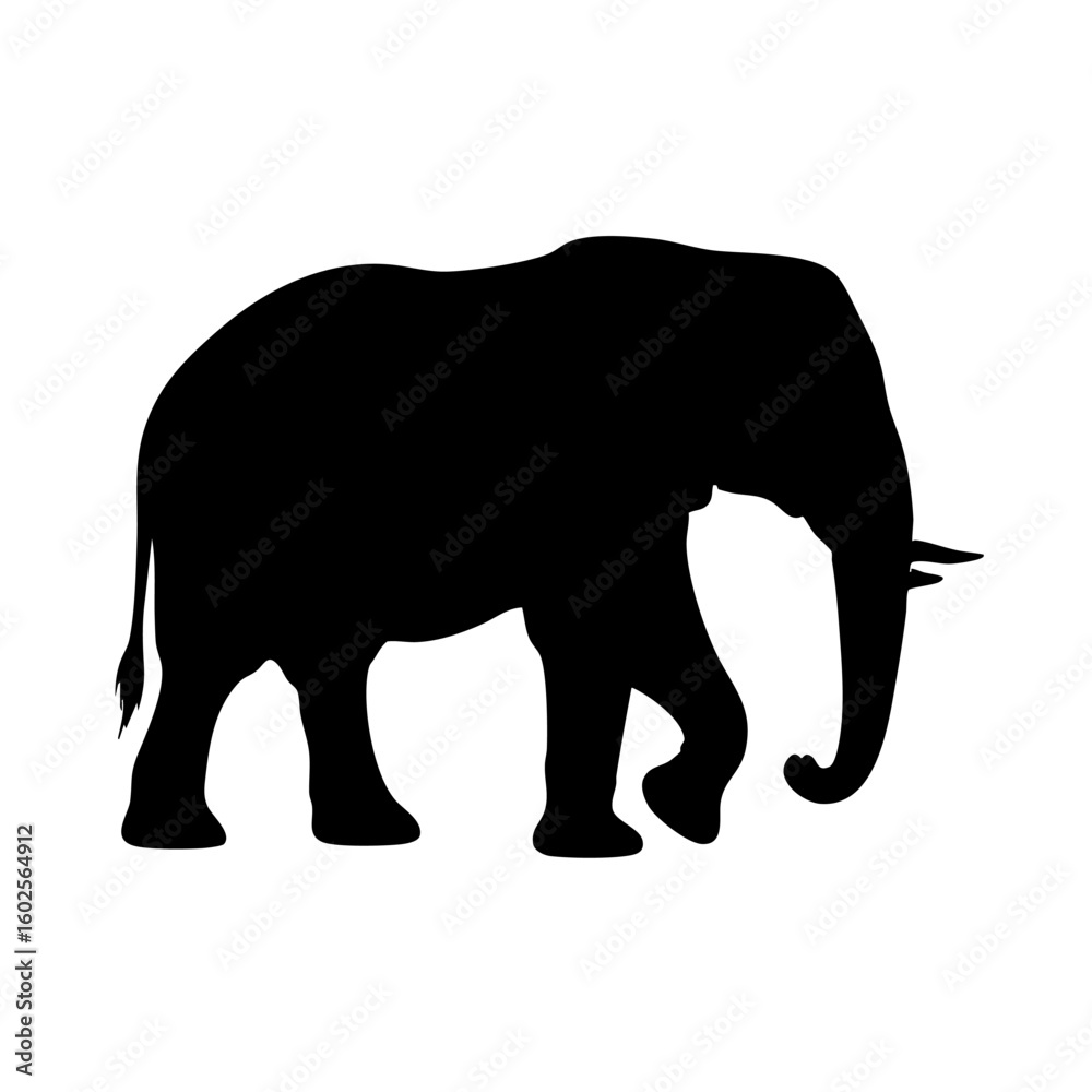 Fototapeta premium Elephant silhouette. Elephant vector silhouette