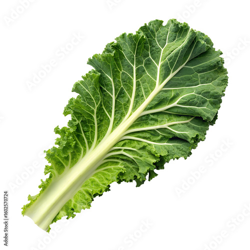 a kale partially sliced, isolated on transparent background
