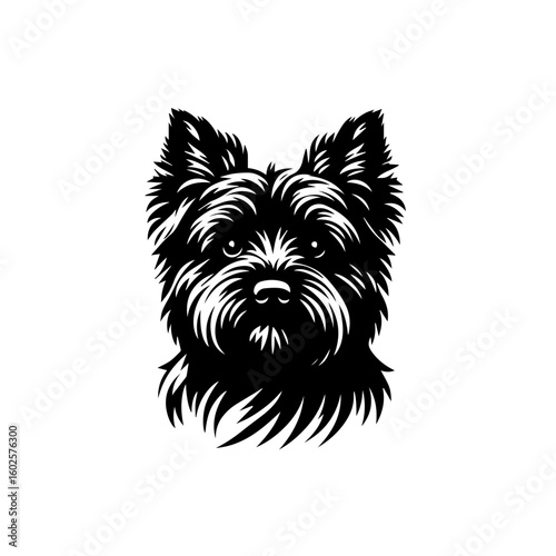Black yorkshire terrier dog head isolated on white background