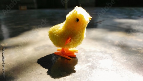 Close Up Toy Chick on Dark Background with Shadow in Sunlight and Detailed Feathers