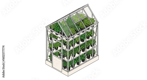 Greenhouse with potted plants, gardening, horticulture