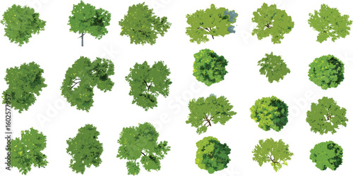 Overhead watercolor illustrations of twelve lush green trees with varied canopies arranged in a grid on a white background

