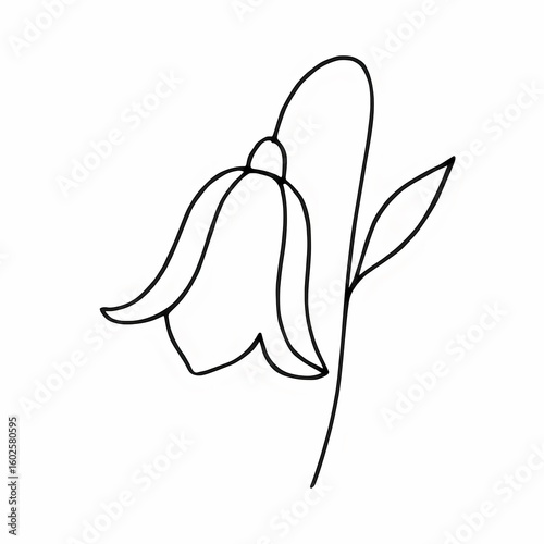  flor de campana sketch