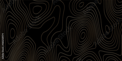 Abstract design with black and white abstract papercut and multi-layer cutout geometric pattern on vector Topographic canyon geometric map relief texture with curved layers beautiful design.	
