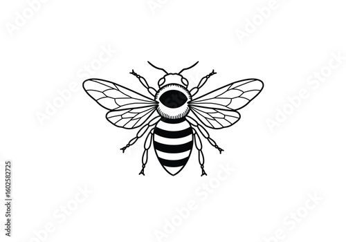 Bee tattoo drawing. It is a black and white outline image of a bee, designed for a tattoo, depicting an insect or honeybee. Vector sketch line art draw.